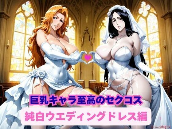 巨乳キャラ達による至高のセクコス、純白ウエディングドレス編｜d_728145