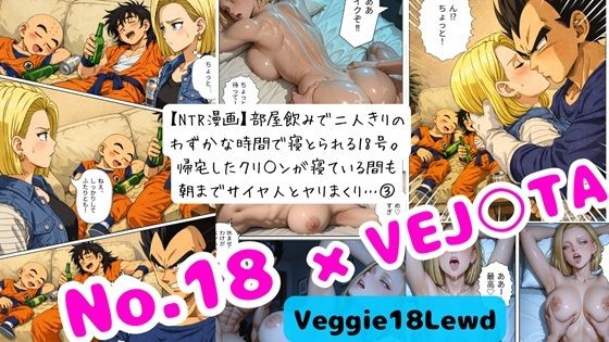 【NTR漫画】 3部屋飲みで二人きりの わずかな時間で寝とられる18号。 帰宅したクリ○ンが寝ている間も 朝までサイヤ人とヤリまくり… 3｜d_748731