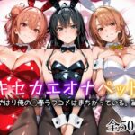 キセカエオナペット -やはり俺の◯春ラブコメはまちがっている篇-｜d_754212