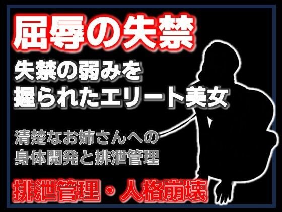 密室の聖女失禁:エレベーターに閉じ込められた清楚な年上美女をペットボトル排尿で屈服させた夜｜d_760210