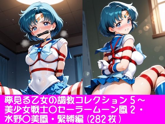 夢見る乙女の調教コレクション5〜美少女戦士〇ーラームーン風2・水野〇美風・緊縛編｜d_761874