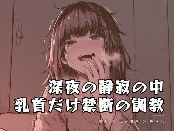 深夜の静寂の中、乳首だけを嬲る禁断の調教｜d_762082