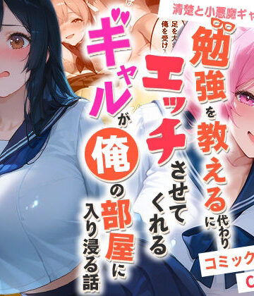 勉強を教える代わりにエッチをさせてくれるギャルが俺の部屋に入り浸る話 〜清楚と小悪魔ギャルの純愛編〜｜d_767680