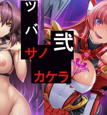 ツバサノカケラ弐〜もっと悪堕ちヒロイン未使用画像集〜｜d_771322