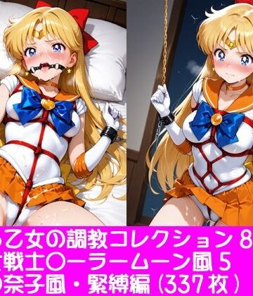 夢見る乙女の調教コレクション8〜美少女戦士〇ーラームーン風5・愛野〇奈子風・緊縛編｜d_774190