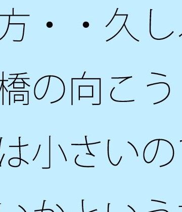 夕方・・久しぶりの橋の向こう それは小さいのではないかという視点 凝縮されたような今の小ささ｜d_777975