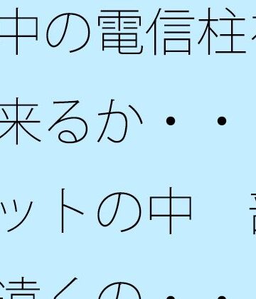 道中の電信柱を認識出来るか・・・・ポケットの中 部屋・・遠くの・・・で木箱の壁は｜d_778691