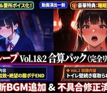 獄門ループ Vol.1＆2合算パック 〜車内拉致・トイレ壁越し・腹ボテ屈服バッドエンド〜【購入特典:ツンデレ看病＆睡眠姦ボイス付き】｜d_783012