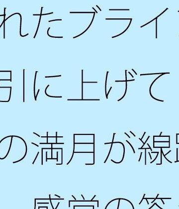 壊れたブラインドを強引に上げて・・・夜の満月が線路の真上 感覚の答えはどこに・・｜d_784292