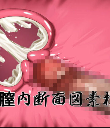 膣内断面図素材2｜d_795846