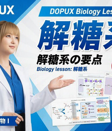 【▲20】一ノ瀬廻里 大学に進学し強豪予備校『DOPUX（ドピュックス』で生物I，IIを教える名物講師に！（Vol.021:解糖系）｜d_797798