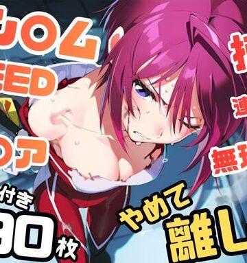 ガン〇ムSEED ルナマ〇ア イラスト集 290枚 4K高画質｜d_801630