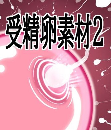 受精卵素材2｜d_803596