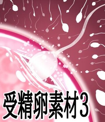 受精卵素材3｜d_803737