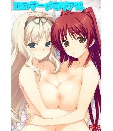 エロゲーメモリアル 08｜d_812026