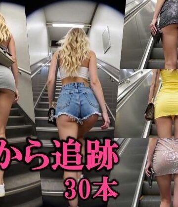 下から追跡｜d_812101