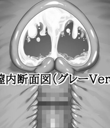 膣内断面図素材（グレーVer.）｜d_813604