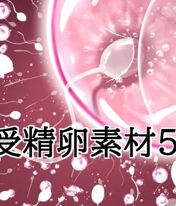 受精卵素材5｜d_816014