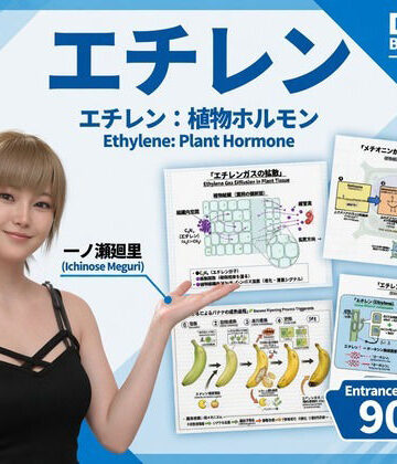 【▲20】一ノ瀬廻里 大学に進学し強豪予備校『DOPUX（ドピュックス』で生物I，IIを教える名物講師に！（Vol.042:エチレン）｜d_818664