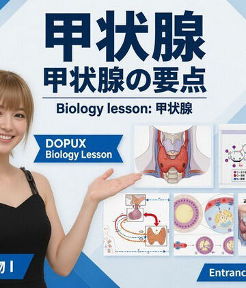 【▲20】パンチラガチャ★一ノ瀬廻里 大学に進学し強豪予備校『DOPUX（ドピュックス』で生物I，IIを教える名物講師に！（Vol.050:甲状腺）｜d_822142