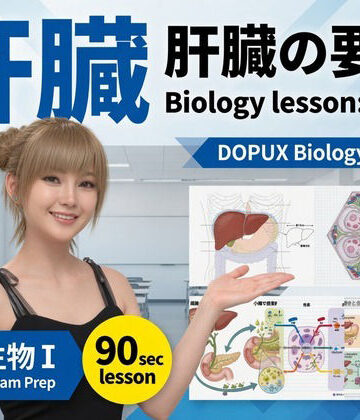 【▲20】パンチラガチャ★一ノ瀬廻里 大学に進学し強豪予備校『DOPUX（ドピュックス』で生物I，IIを教える名物講師に！（Vol.054:肝臓）｜d_824188