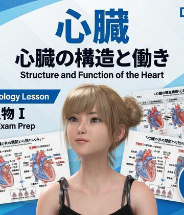 【▲20】パンチラガチャ★一ノ瀬廻里 大学に進学し強豪予備校『DOPUX（ドピュックス』で生物I，IIを教える名物講師に！（Vol.055:心臓）｜d_825076