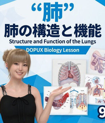 【▲20】パンチラガチャ★一ノ瀬廻里 大学に進学し強豪予備校『DOPUX（ドピュックス』で生物I，IIを教える名物講師に！（Vol.056:肺）｜d_826009