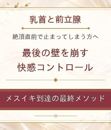乳首と前立腺 絶頂直前で止まってしまう方へ 最後の壁を崩す快感コントロール メスイキ到達の最終メソッド｜d_827022