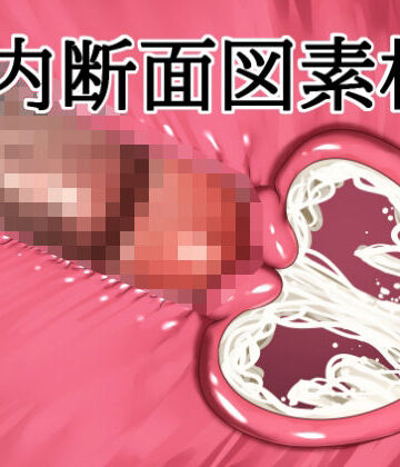膣内断面図素材3｜d_829794
