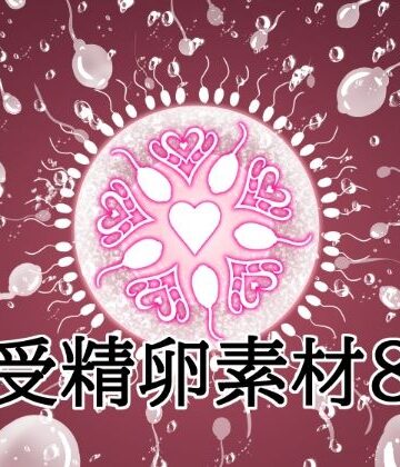 受精卵素材8｜d_830089