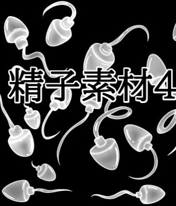 精子素材4｜d_830819