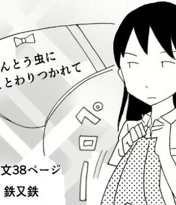 てんとう虫にまとわりつかれて｜d_830984