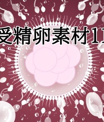 受精卵素材11｜d_833218