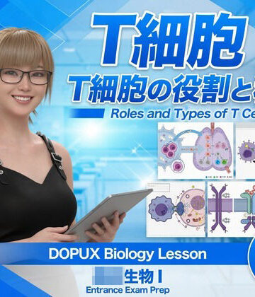 【▲20】パンチラガチャ★一ノ瀬廻里 大学に進学し強豪予備校『DOPUX（ドピュックス』で生物I，IIを教える名物講師に！（Vol.065:T細胞）｜d_836742